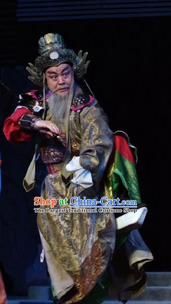 Hua Long Dian Jing Chinese Lu Opera Elderly Man Chang He Apparels Costumes and Headpieces Traditional Shandong Opera Laosheng Garment General Clothing