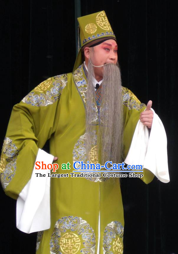 Feng Xue Pei Chinese Qu Opera Laosheng Gao Zan Apparels Costumes and Headpieces Traditional Henan Opera Landlord Garment Ministry Councillor Clothing