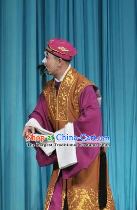 Forced Marriage Chinese Lu Opera Clown Apparels Costumes and Headpieces Traditional Shandong Opera Chou Role Garment Adviser Clothing