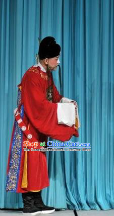 Forced Marriage Chinese Lu Opera Minister Apparels Costumes and Headpieces Traditional Shandong Opera Magistrate Garment Clown Clothing