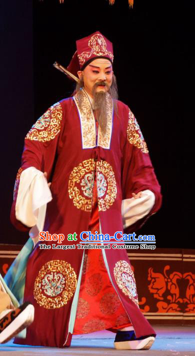 Hua Deng An Chinese Hubei Hanchu Opera Landlord Apparels Costumes and Headpieces Traditional Han Opera Elderly Male Garment Ministry Councillor Chen Cong Clothing