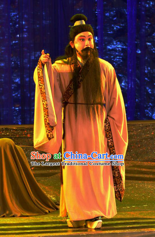 Butterfly Dream Chinese Hubei Hanchu Opera Laosheng Apparels Costumes and Headpieces Traditional Han Opera Elderly Male Garment Scholar Zhuang Zhou Clothing