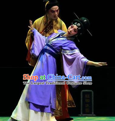 Chinese Han Opera Young Woman Garment Butterfly Dream Costumes and Headdress Traditional Hubei Hanchu Opera Apparels Actress Dress