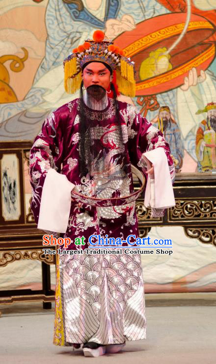 The Princess in Distress Chinese Guangdong Opera Lord Apparels Costumes and Headpieces Traditional Cantonese Opera Elderly Male Garment Infante Di Clothing