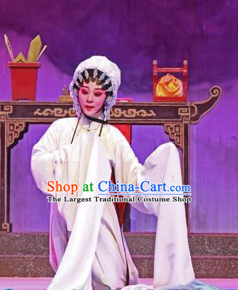 Chinese Cantonese Opera Tsing Yi Garment The Peony Pavilion Costumes and Headdress Traditional Guangdong Opera Distress Maiden Apparels Diva Du Liniang Dress