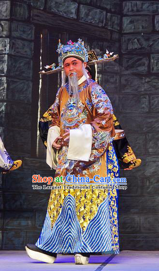 Chinese Guangdong Opera Elderly Male Apparels Costumes and Headpieces Traditional Cantonese Opera Laosheng Garment Official Bo Pi Clothing