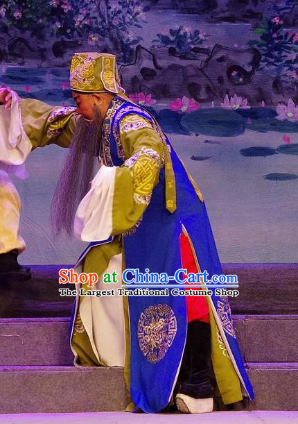 Qian Tang Su Xiaoxiao Chinese Guangdong Opera Landlord Apparels Costumes and Headpieces Traditional Cantonese Opera Laosheng Garment Elderly Male Clothing