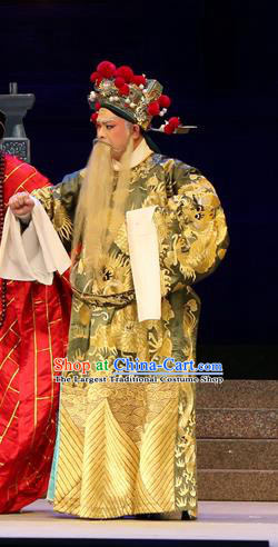 Legend of Lun Wenxu Chinese Guangdong Opera Official Apparels Costumes and Headpieces Traditional Cantonese Opera Laosheng Garment Elderly Male Clothing