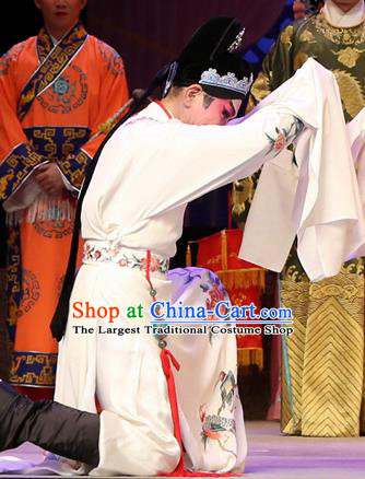 Legend of Lun Wenxu Chinese Guangdong Opera Xiaosheng Apparels Costumes and Headpieces Traditional Cantonese Opera Young Male Garment Number One Scholar Clothing