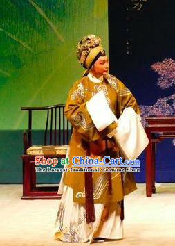 Chinese Cantonese Opera Laodan Garment Hua Jian Ji Costumes and Headdress Traditional Guangdong Opera Dame Apparels Pantaloon Dress