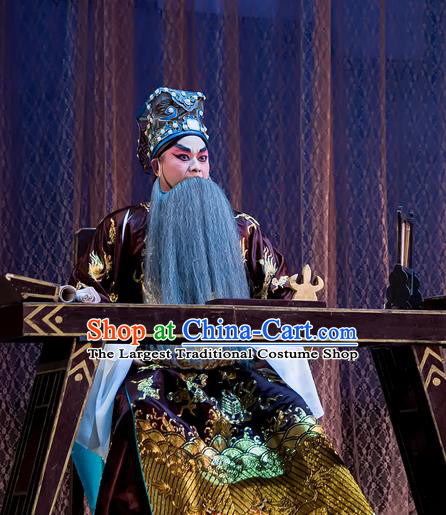 The Romance of Hairpin Chinese Guangdong Opera Prime Minister Wan Si Apparels Costumes and Headpieces Traditional Cantonese Opera Lsheng Garment Elderly Male Clothing