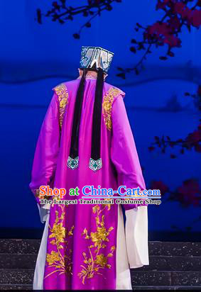 The Romance of Hairpin Chinese Guangdong Opera Laosheng Apparels Costumes and Headpieces Traditional Cantonese Opera Landlord Garment Elderly Male Clothing