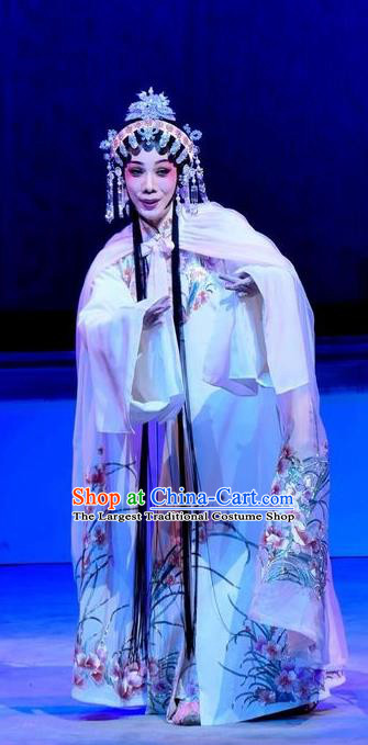 Chinese Cantonese Opera Diva Yang Yaoxian Garment Hua Jian Ji Costumes and Headdress Traditional Guangdong Opera Young Female Apparels Rich Lady Dress
