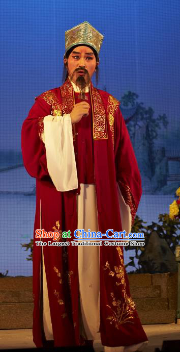 Legend of Lun Wenxu Chinese Guangdong Opera Ministry Councillor Apparels Costumes and Headpieces Traditional Cantonese Opera Laosheng Garment Landlord Clothing