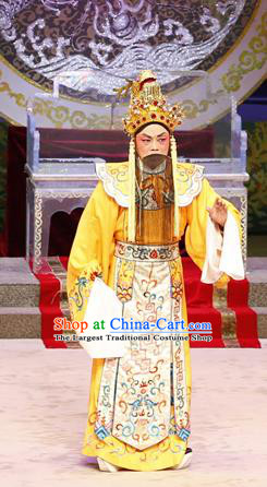 Liu Yi Delivers A Letter Chinese Guangdong Opera Laosheng Apparels Costumes and Headpieces Traditional Cantonese Opera Elderly Male Garment Dragon King Clothing
