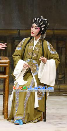 Chinese Cantonese Opera Middle Age Woman Garment Liu Yi Delivers A Letter Costumes and Headdress Traditional Guangdong Opera Dame Apparels Rani Dress