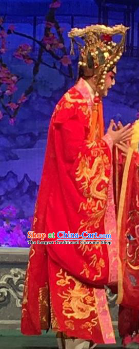 Story of the Violet Hairpin Chinese Guangdong Opera Lord Apparels Costumes and Headpieces Traditional Cantonese Opera Li Yi Garment Xiaosheng Clothing