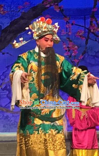 Story of the Violet Hairpin Chinese Guangdong Opera Elderly Male Apparels Costumes and Headpieces Traditional Cantonese Opera Garment Grand Commandant Clothing