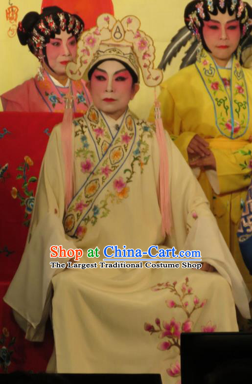 Hua Tian Ba Xi Chinese Guangdong Opera Scholar Bian Ji Apparels Costumes and Headpieces Traditional Cantonese Opera Xiaosheng Garment Gifted Youth Clothing