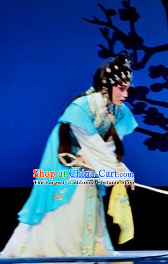 Chinese Cantonese Opera Swordswoman Garment Yuan Yang Sword Costumes and Headdress Traditional Guangdong Opera Hua Tan Apparels Martial Female Qin Huilan Blue Dress