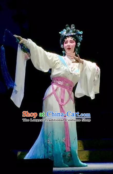 Chinese Cantonese Opera Young Female Garment Yuan Yang Sword Costumes and Headdress Traditional Guangdong Opera Diva Qin Huilan Apparels Actress Dress