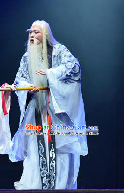 King of Nanyue Kingdom Chinese Guangdong Opera Elderly Male Apparels Costumes and Headpieces Traditional Cantonese Opera Laosheng Garment Duke Zhao Tuo Clothing