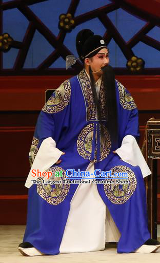 The Lotus Lantern Chinese Guangdong Opera Laosheng Apparels Costumes and Headpieces Traditional Cantonese Opera Elderly Male Garment Liu Yanchang Clothing