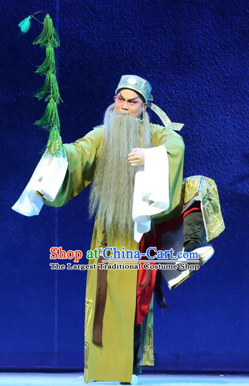 Gao Emperor of Han Chinese Guangdong Opera Elderly Male Apparels Costumes and Headpieces Traditional Cantonese Opera Laosheng Garment Clothing