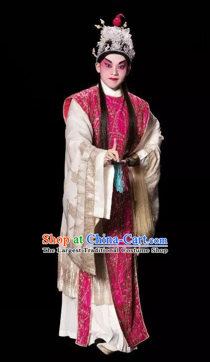 Chinese Guangdong Opera Crown Prince Wei Jianhun Apparels Costumes and Headpieces Traditional Cantonese Opera Young Male Garment Xiaosheng Clothing