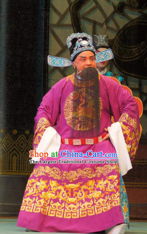 Emperor and the Village Girl Chinese Guangdong Opera Laosheng Apparels Costumes and Headpieces Traditional Cantonese Opera Official Cao Zibin Garment Elderly Male Clothing