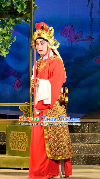 Chinese Guangdong Opera Wusheng Apparels Costumes and Headwear Traditional Cantonese Opera General Wei Tuo Garment Martial Male Clothing