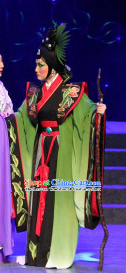 Chinese Cantonese Opera Witch Garment Qian Nv You Hun Costumes and Headdress Traditional Guangdong Opera Apparels Evil Woman Dress