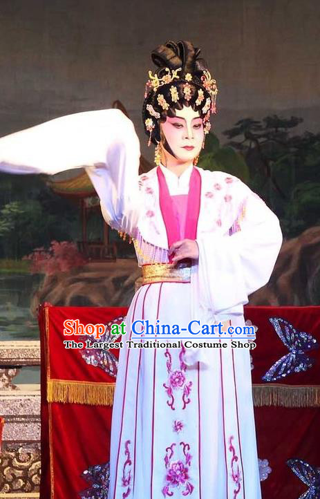 Chinese Cantonese Opera Hua Tan Garment The Mad Monk by the Sea Costumes and Headdress Traditional Guangdong Opera Actress Apparels Young Female Dress