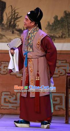 The Mad Monk by the Sea Chinese Guangdong Opera Rich Man Apparels Costumes and Headwear Traditional Cantonese Opera Merchant Garment Clothing