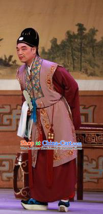 The Mad Monk by the Sea Chinese Guangdong Opera Rich Man Apparels Costumes and Headwear Traditional Cantonese Opera Merchant Garment Clothing