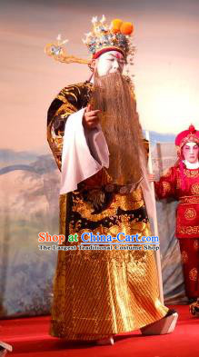 Love in the Red Plum Chinese Guangdong Opera Jing Apparels Costumes and Headwear Traditional Cantonese Opera Elderly Male Garment Treacherous Official Jia Sidao Clothing