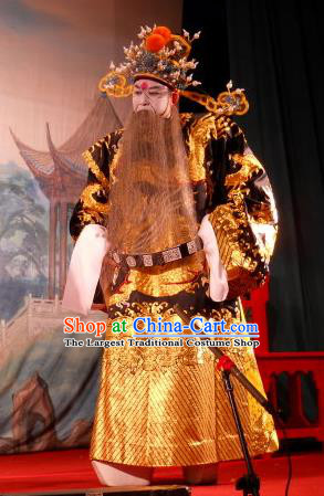Love in the Red Plum Chinese Guangdong Opera Jing Apparels Costumes and Headwear Traditional Cantonese Opera Elderly Male Garment Treacherous Official Jia Sidao Clothing