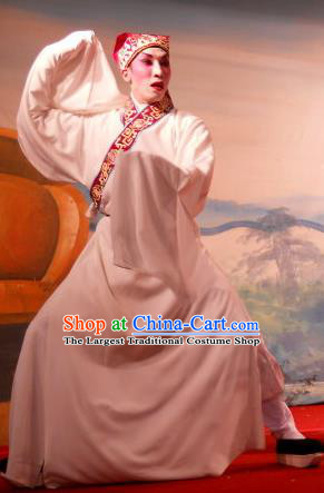 Love in the Red Plum Chinese Guangdong Opera Niche Apparels Costumes and Headwear Traditional Cantonese Opera Young Male Garment Scholar Pei Yu Clothing