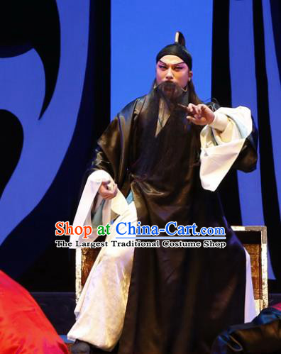 Chinese Guangdong Opera Scholar Fan Zhongyu Apparels Costumes and Headwear Traditional Cantonese Opera Elderly Male Garment Clothing