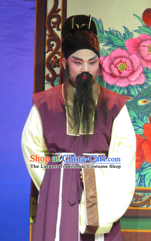 The Strange Stories Chinese Guangdong Opera Adviser Apparels Costumes and Headwear Traditional Cantonese Opera Laosheng Garment Elderly Male Clothing