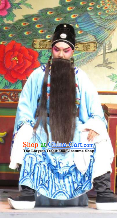 The Strange Stories Chinese Guangdong Opera Elderly Male Apparels Costumes and Headwear Traditional Cantonese Opera Laosheng Garment Official Wang Sheng Clothing