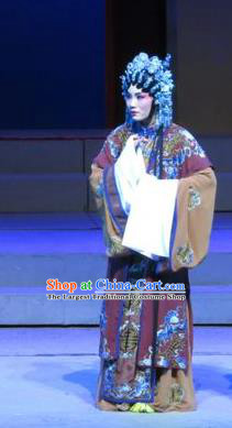 Chinese Cantonese Opera Elderly Female Garment The Strange Stories Costumes and Headdress Traditional Guangdong Opera Dame Apparels Mistress Dress