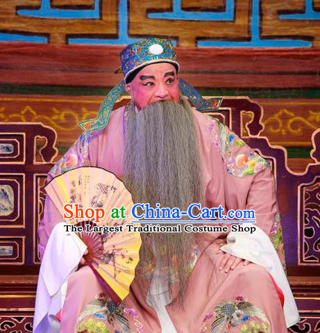 San Xiao Yin Yuan Chinese Guangdong Opera Imperial Tutor Hua Apparels Costumes and Headwear Traditional Cantonese Opera Laosheng Garment Elderly Male Clothing