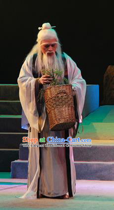 Liang Cha Wang Chuan Qi Chinese Guangdong Opera Elderly Male Apparels Costumes and Headwear Traditional Cantonese Opera Garment Physician Clothing