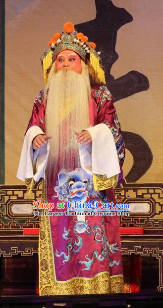 Chinese Guangdong Opera Elderly Male Apparels Costumes and Headwear Traditional Cantonese Opera Laosheng Garment Duke Guo Ziyi Clothing