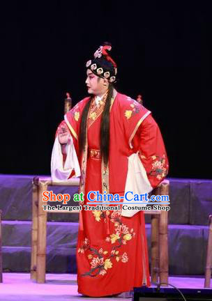 the Legend of Gold Rice Chinese Guangdong Opera Bridegroom Apparels Costumes and Headwear Traditional Cantonese Opera Young Male Garment Xiaosheng Lu Yacan Clothing