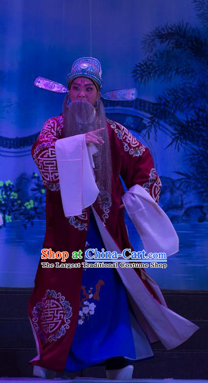 Wu Suo Dong Gong Chinese Guangdong Opera Official Apparels Costumes and Headwear Traditional Cantonese Opera Laosheng Garment Landlord Clothing