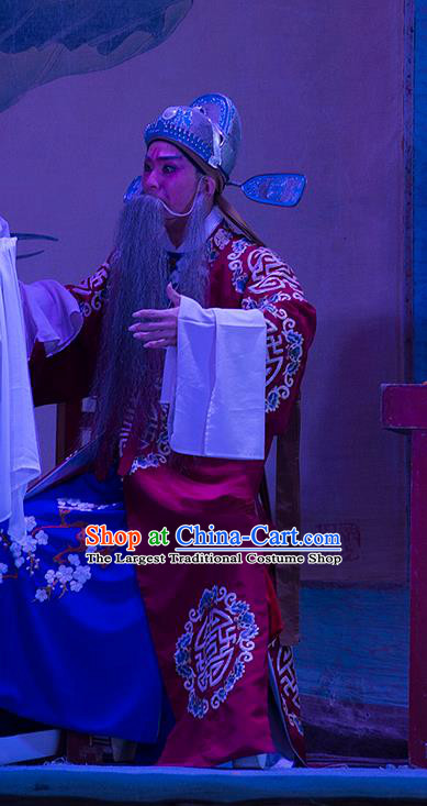 Wu Suo Dong Gong Chinese Guangdong Opera Official Apparels Costumes and Headwear Traditional Cantonese Opera Laosheng Garment Landlord Clothing