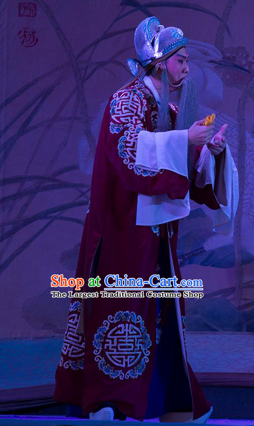 Wu Suo Dong Gong Chinese Guangdong Opera Official Apparels Costumes and Headwear Traditional Cantonese Opera Laosheng Garment Landlord Clothing