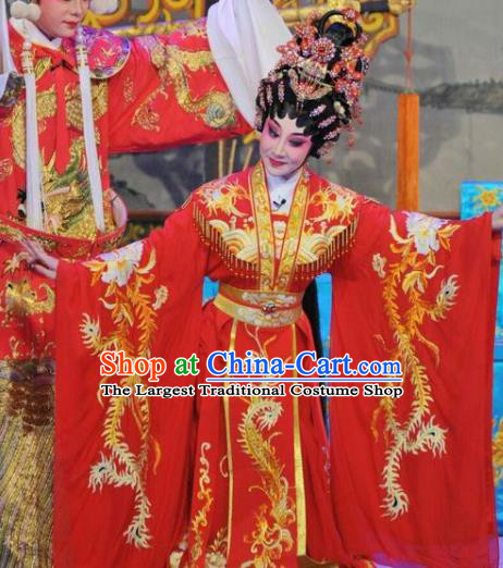 Chinese Cantonese Opera Hua Tan Garment The Sword Costumes and Headdress Traditional Guangdong Opera Young Beauty Apparels Princess Wang Lanying Red Dress